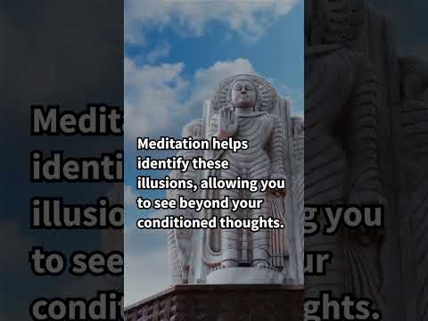 Meditation_ Your Path to Liberation from Daily Illusions
