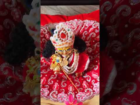 Laddu gopal cute video 🙏🙏🙏 #music #song #laddugopalsong #laddugopalhits