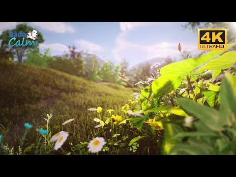 [4K] Emotion Soothing Meditation for Kids | Cosmic Serenity | Badanamu Calm