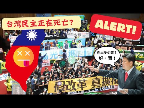 台灣民主正在死亡？｜國會要改革是這樣改的？｜LuWenLu 路溫路