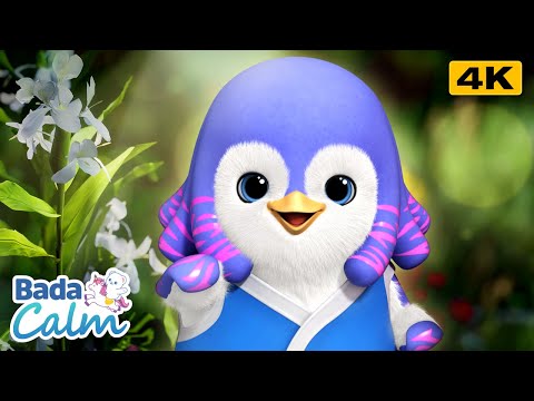 [4K] Focus Meditation for Kids | Focused Reflections | Badanamu Calm