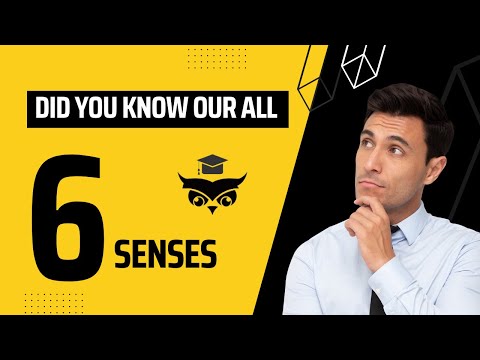 The SIX SENSES - An Easy Explanation