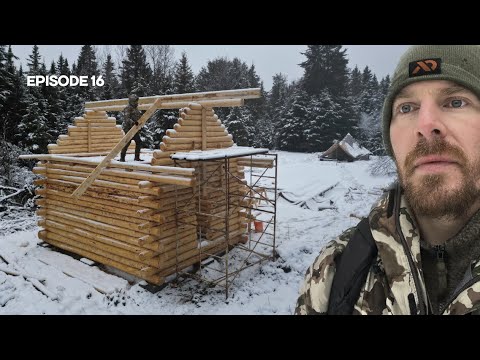 Winter Log Cabin Build on Off-Grid Homestead |EP16|