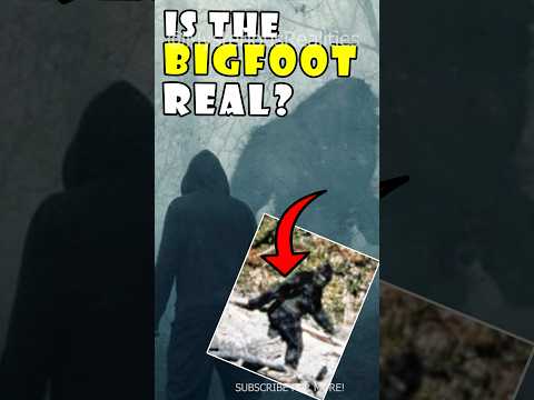 BIGFOOT CAUGHT ON CAMERA! #shorts #cryptids #bigfoot #real #scary #story #subscribe
