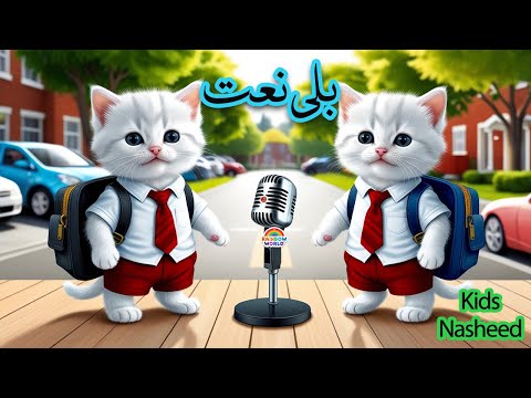 RAHMATUN LIL'ALAMEEN ANIMATED CATS SINGING |COLORFUL CATS VERSI HADROH SHOLAWAT KUCING islamic songs