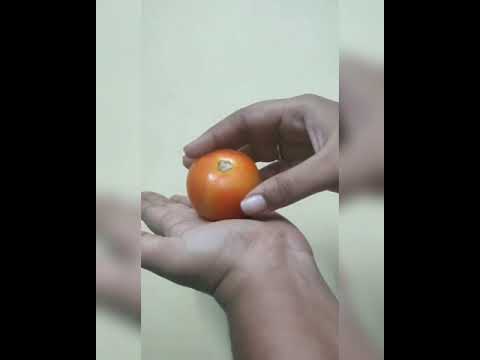 tomato🍅magic😜😂#shorts#magic