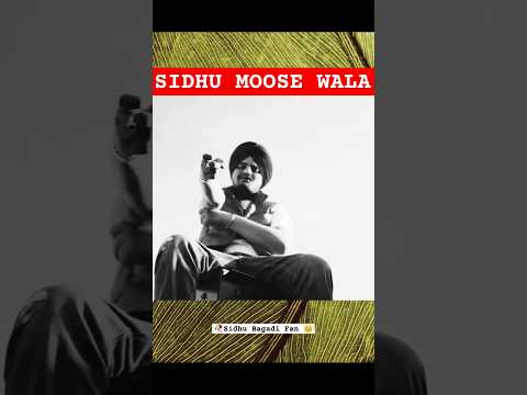 Dunia di je tu h queen 👑 Sidhu Moose Wala Status #sidhumoosewala