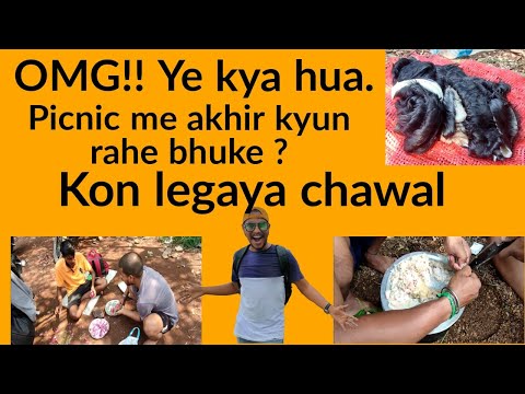 OMG !! Akhir kyun rahe picnic me bhuke. kahan gaya chawal.Daily Vlog day 23