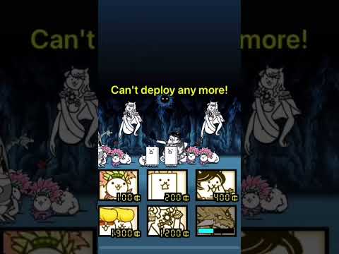Bun bun's fail