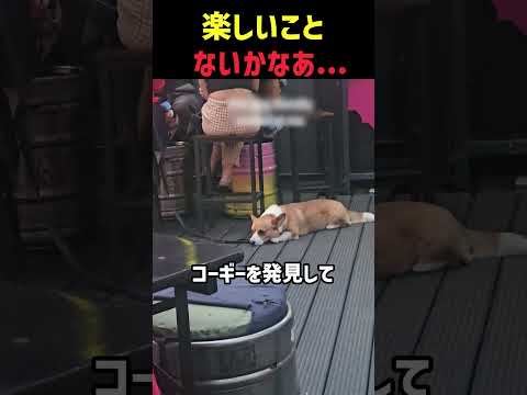 最高の笑顔