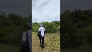 Random video  #softwareengineerlife #drone
