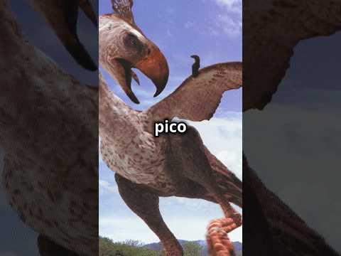 ¿QUIÉN GANARÍA? ¡Phorusrhacos vs Avestruz! #batallaépica #animales #naturaleza