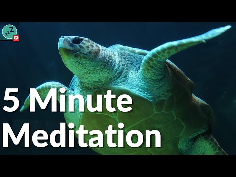 5 Minute Meditation for Stress & Anxiety | Calming Music, Relaxing Music, Soothing Music, Healing