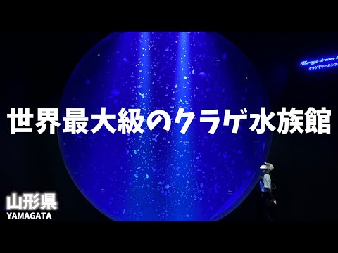 【山形県観光】加茂水族館は世界最大級のクラゲ水族館！東北旅！[Yamagata Prefecture Tourism] The world's largest jellyfish aquarium!