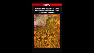 Maharashtra News | Town Turns Golden As Lord Khandoba–Mhalsa Wedding Celebrated In Pali