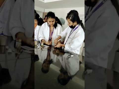 Blood grouping in  laboratory , college days , jain University school of allied health science 🧪