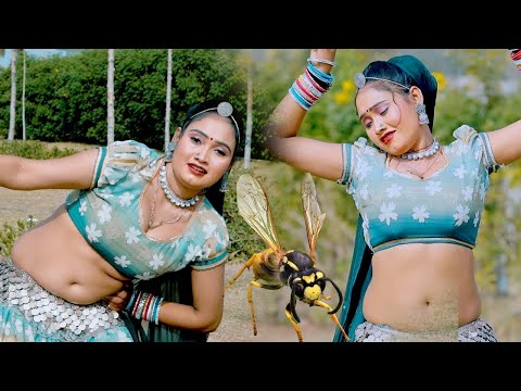 तीतर का दिल आ गया मुंडे लाल टमाटर पे (सर्दी का No 1 गाना) New  सुपरहिट Song~Rajasthani Dj Song 2025