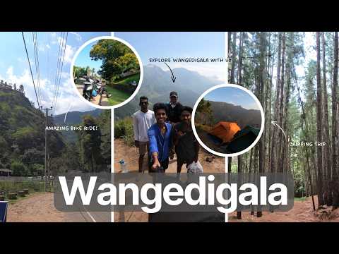 Wangedigala | Camping Part 1 | Pine Forest 1st Night! | අපිට පාර වැරදිලා ද 😵 කන්දට යනකොට රෑ වුණා! 🏕️