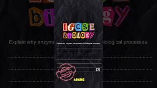 IGCSE Biology Most important Questions for 2025 exams (1.Enzymes)