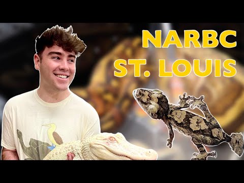 We Met Patient Zero! *INSANE* (NARBC St. Louis 2021)