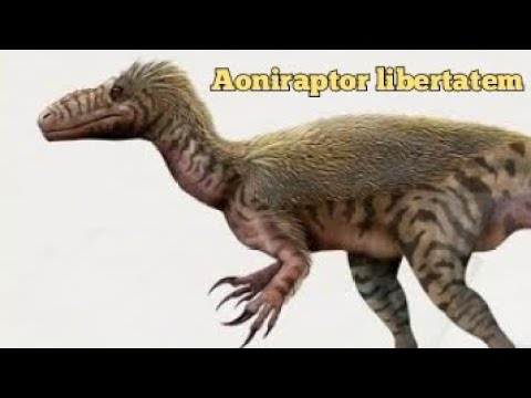 Todo sobre Aoniraptor libertatem