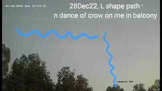 28Dec22  divine birds  around me