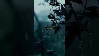 feel it 😌🖇️ #feelgoodvibes #tamilwhatsappstatus #relax #feelit  #followformorevideos