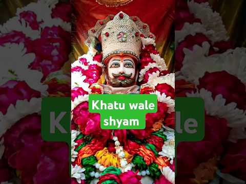 खाटू वाले श्याम कस के पकड़ लो मेरा हाथ #khatushyam #shyambhajan#shyambaba #shortsfeed #viralvideo