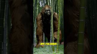 Meet Gigantopithecus: The Largest Ape to Ever Exist #gorilla #animals #nature #history #viralvideo