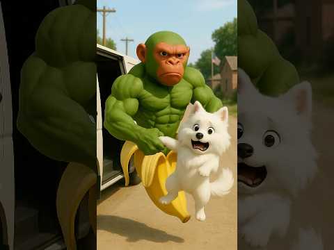 TUNG TUNG AND THE DRAMATIC CHASE FOR THE PET THIEF!