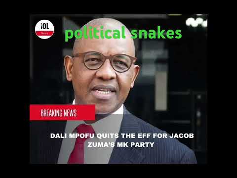 Political snakes 🐍 Dali Mpofu and Floyd Shi