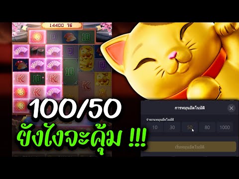 สล็อตpg ล่าสุด แมวทองpg 100/50 ยังไงจะคุ้ม ➤ เกมสล็อต แมวpg