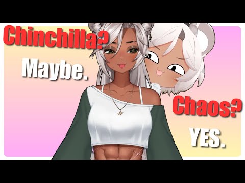Sangents - the Birds and the Chinchillas