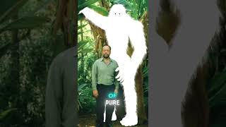 The scariest animal ever lived on earth 💀 #funfacts #prehistoric #gigantopithecus #shorts