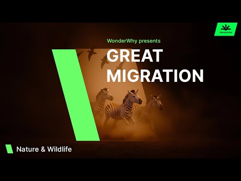 Africa's Great Migration: Millions on the Move in the Serengeti & Masai Mara