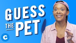 Guess the Pet Unboxing | Chewy
