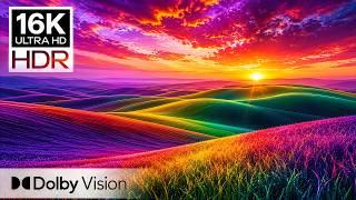 VIBRANT OLED CHALLENGE | 16K HDR Dolby Vision | Relaxing Music | Display Test (8K/4K TV Video)