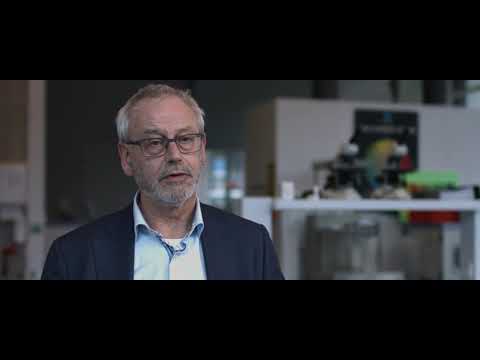 Lector Smart Functional Materials