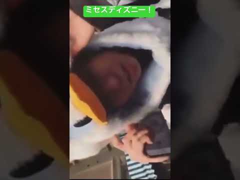 藤澤涼架の念願のディズニー #ミセスグリーンアップル #ミセス #mrsgreenapple #テレビ #ディズニー #ディズニーランド #ディズニーシー
