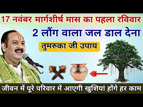 🔴17 नवंबर मार्गशीर्ष रविवार 2 लौंग का जल तुमरुका जी का नाम लेकर डाल देना- Pradeep ji mishra