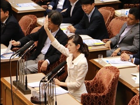 【佐々木さやか】安倍総理に、平和安全法制について質問！～2015年08月21日（NHK中継あり）
