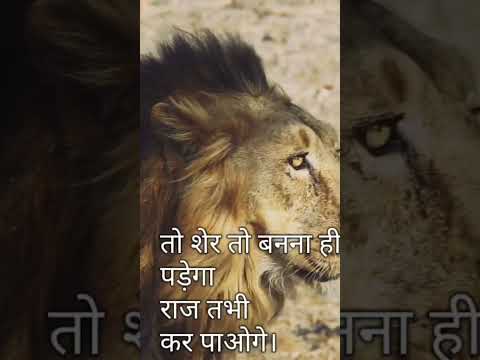 @study##student##believeonyourself@#