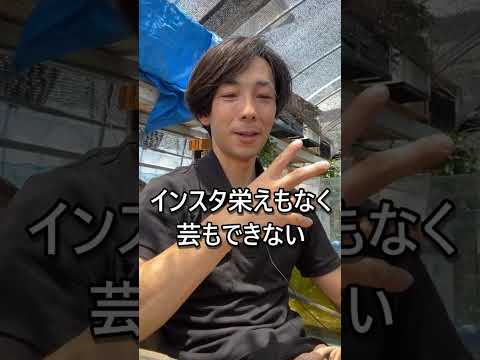 人はなぜ金魚を飼うのか・・・ #アクアリウム #水槽部屋#金魚