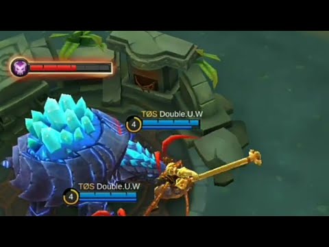 how to steal turtle