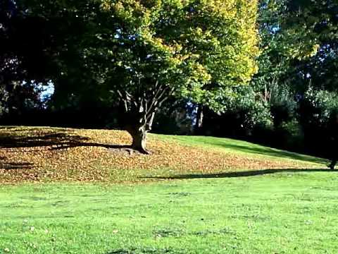 Me Strolling In Welland Park, Harborough