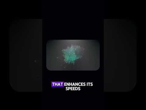 Grok 3 Unveiled | xAI’s Top AI Model, Benchmarks & Pricing Revealed!