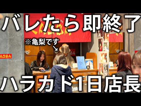 【潜入】バレたら即終了！亀梨が変装してファンの前で店長として接客したらいつバレる？