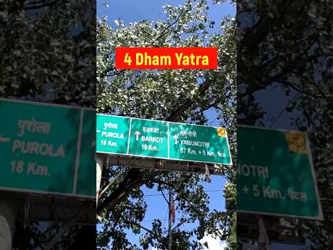 4 Dham Yatra Short Tour. #youtubeshorts #chardham #kedarnath #badrinath #gangotri #yamunotri