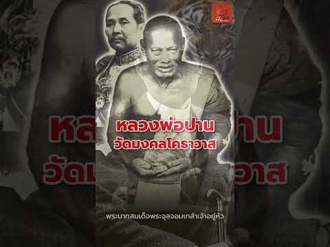 6/15 เขี้ยวเสือ หลวงพ่อปาน วัดมงคลโคธวาส