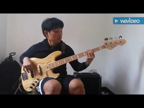 Love  Never Felt So Good- Bass Cover